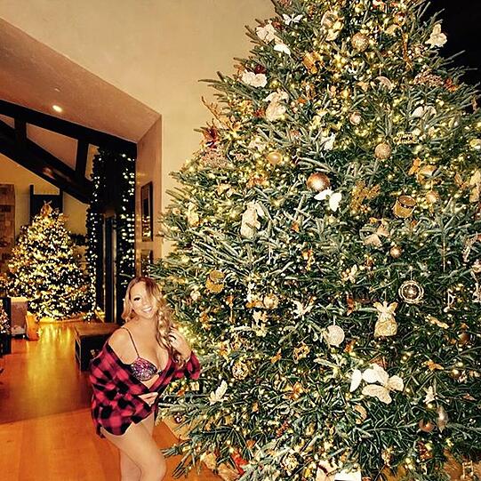 Ihr Haus scheint gut beheizt zu sein: Mariah Carey vorm XL-Baum.