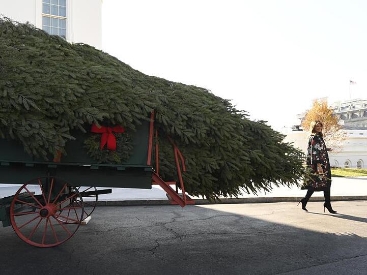 Melania Trump freut sich vor dem Weißen Haus über den frisch angelieferten Weihnachtsbaum.