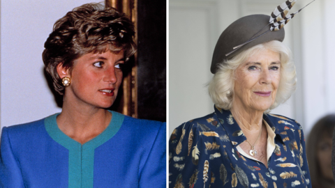Prinzessin Diana konnte Camilla gut einschätzen.