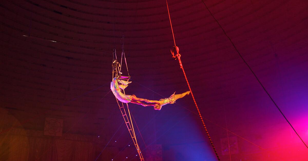 Zirkus-Waterland-Tickets-f-r-die-Premieren-Show-gewinnen