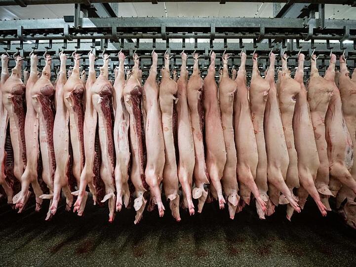 Halbierte Schweine hängen im Schlachthof. Laut der Fleischbranche würde ein Verbot von Werkvertrag und Leiharbeit die Produktion verteuern.