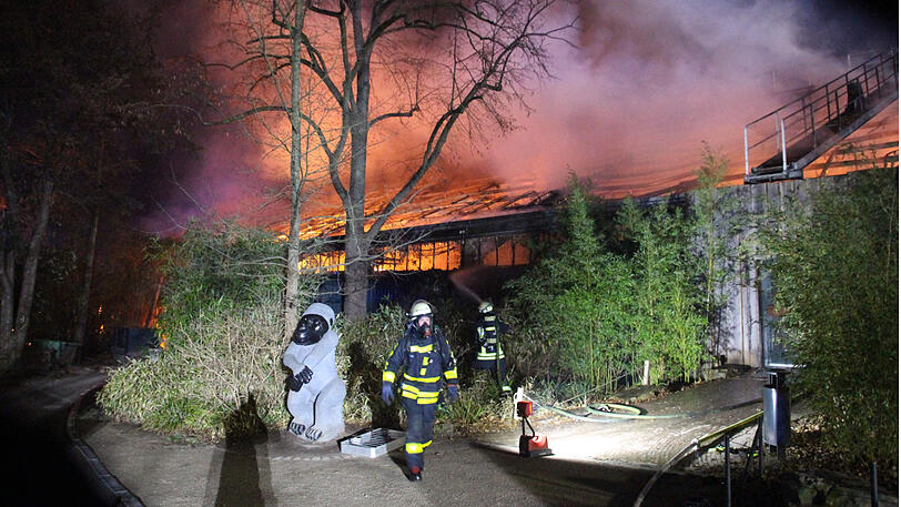 Feuerwehrleute stehen nach Löscharbeiten vor dem Affenhaus des Krefelder Zoos.