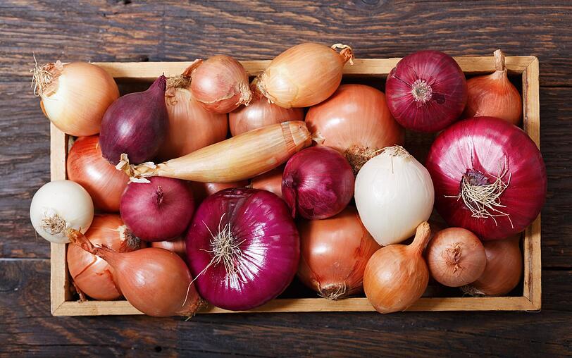 Heute gibt es mehr als 600 verschiedenen Zwiebelsorten. Die für ihre würzige, scharfe Note bekannte gelbe Gemüsezwiebel kommt am häufigsten zum Einsatz. Die rote Zwiebel ist weniger scharf und verleiht den Speisen eine schöne Farbe. Gerne roh verzehrt werden Frühlingszwiebeln, da sie im Vergleich besonders mild sind. Für Soßen werden insbesondere die würzigen Schalotten verwendet. Heute gibt es mehr als 600 verschiedenen Zwiebelsorten. Die für ihre würzige, scharfe Note bekannte gelbe Gemüsezwiebel kommt am häufigsten zum Einsatz. Die rote Zwiebel ist weniger scharf und verleiht den Speisen eine schöne Farbe. Gerne roh verzehrt werden Frühlingszwiebeln, da sie im Vergleich besonders mild sind. Für Soßen werden insbesondere die würzigen Schalotten verwendet.