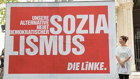 "Demokratischer Sozialismus": Die sächsische Landesvorsitzende der "Linken", Antje Feiks, steht neben einem Wahlplakat in Dresden.