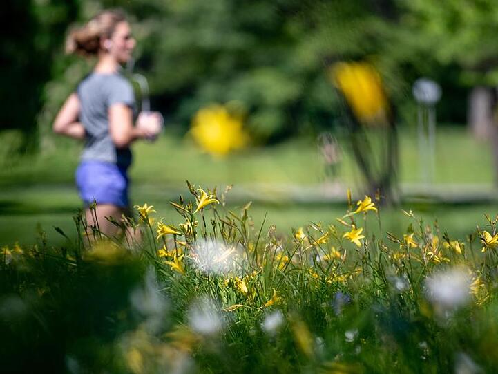 Eine Joggerin läuft vor einer Blumenwiese. Foto: Fabian Sommer/Archivbild