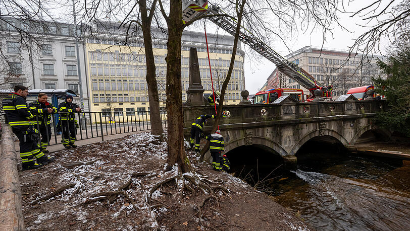 Vor Weihnachten hatten Surfer der Welle mit Einbauten wieder auf die Spr&uuml;nge geholfen. Die Feuerwehr baute die Bretter wieder ab.