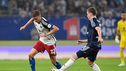 Der Hamburger SV sicherte sich vor heimischer Kulisse gegen Düsseldorf einen späten Heimsieg.