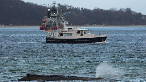 Ein gr&ouml;&szlig;erer Saugbagger wird demn&auml;chst vor Ort erwartet.