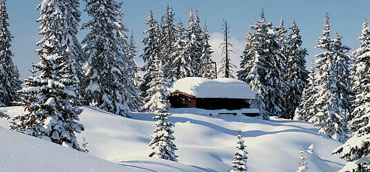 Winter-Romantik pur, Foto: Alpenszene Montafon