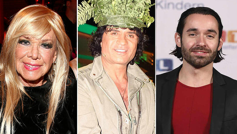 In über 20 Jahren Dschungelcamp sind bereits einige Ex-Kandidaten aus dem Leben geschieden. Von diesen Promis mussten wir uns verabschieden. In über 20 Jahren Dschungelcamp sind bereits einige Ex-Kandidaten aus dem Leben geschieden. Von diesen Promis mussten wir uns verabschieden.