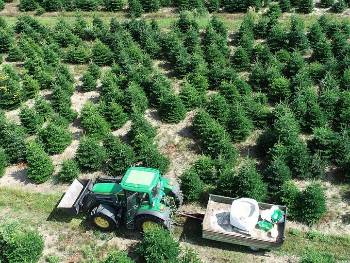 Baumplantage des Betriebes Forst Schneebecke: Auf einer Fläche von 140 Hektar wachsen hier Weihnachtsbäume.