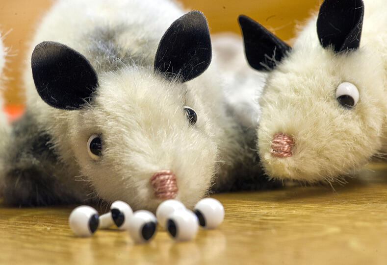 Heidi Opossum