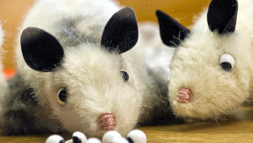 Heidi Opossum Heidi Opossum