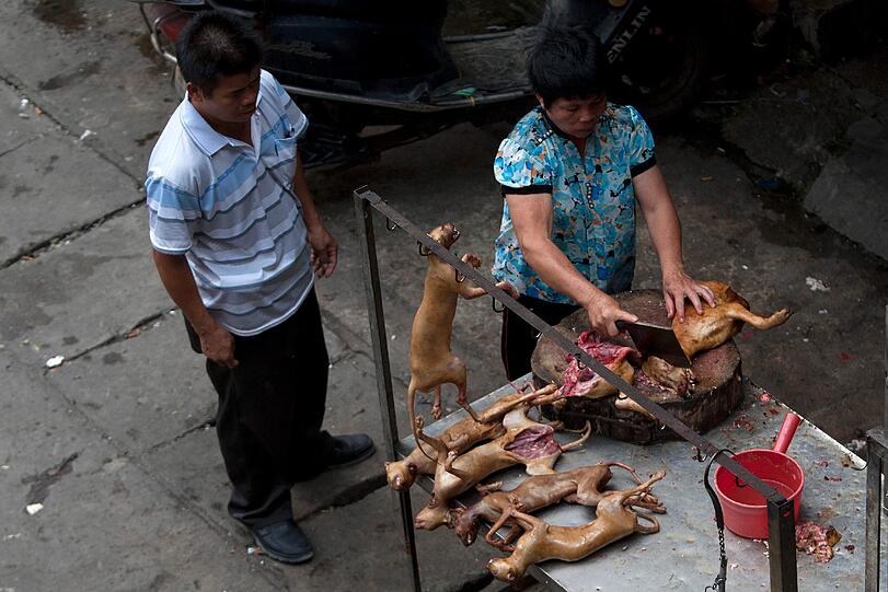 Eine Chinesin teilt einen Hunde-Kadaver.