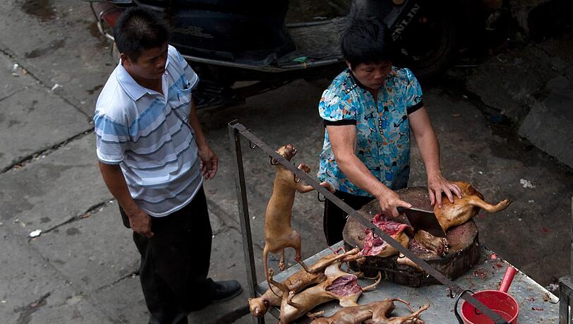 Eine Chinesin teilt einen Hunde-Kadaver. Eine Chinesin teilt einen Hunde-Kadaver.