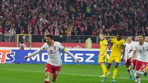 Robert Lewandowski (l) jubelt nach dem Tor zum 1:0 für Polen gegen Schweden.