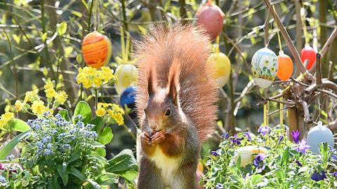 Ostern steht vor der T&uuml;r. (Archivbild)