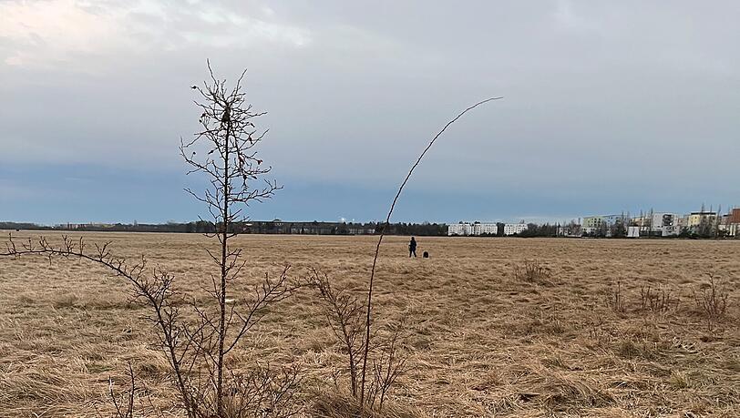 Naturschutzgebiet gleich in der Nähe: Die Panzerwiese. Naturschutzgebiet gleich in der Nähe: Die Panzerwiese.