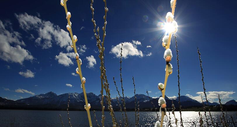 So schön ist der Frühling in Bayern - die besten Bilder. Foto: Karl-Josef Hildenbrand