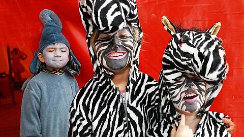 Zebras und Elefanten: junge Lilalu-Akrobaten im Faschingskostüm.