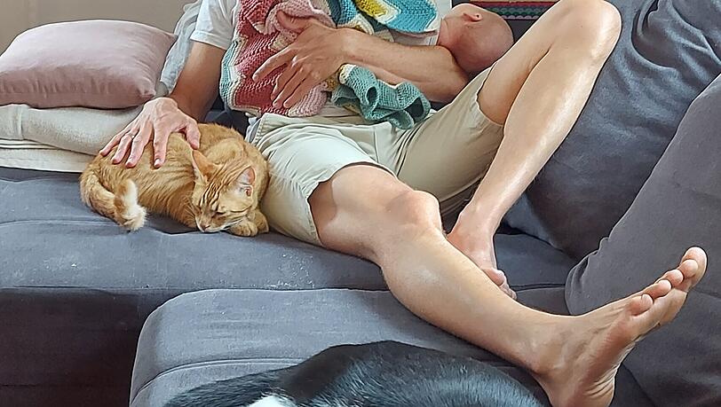 Hier ist vorne auch der zweite Kater der Familie zu sehen. Hier ist vorne auch der zweite Kater der Familie zu sehen.