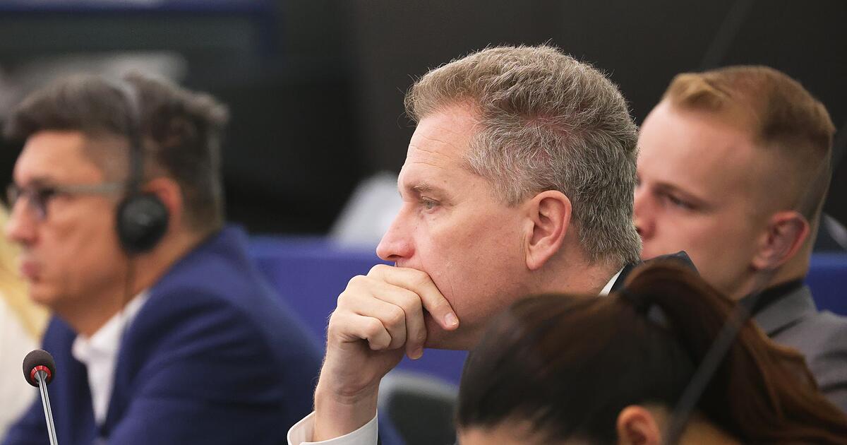 EU-Parlament-hebt-Immunit-t-von-AfD-Politiker-Bystron-auf