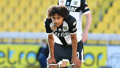 Ist derzeit vom FC Bayern an Parma ausgeliehen: Joshua Zirkzee.
