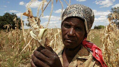 Künftig ohne direkte Hilfe Deutschlands: Afrikaner Künftig ohne direkte Hilfe Deutschlands: Afrikaner