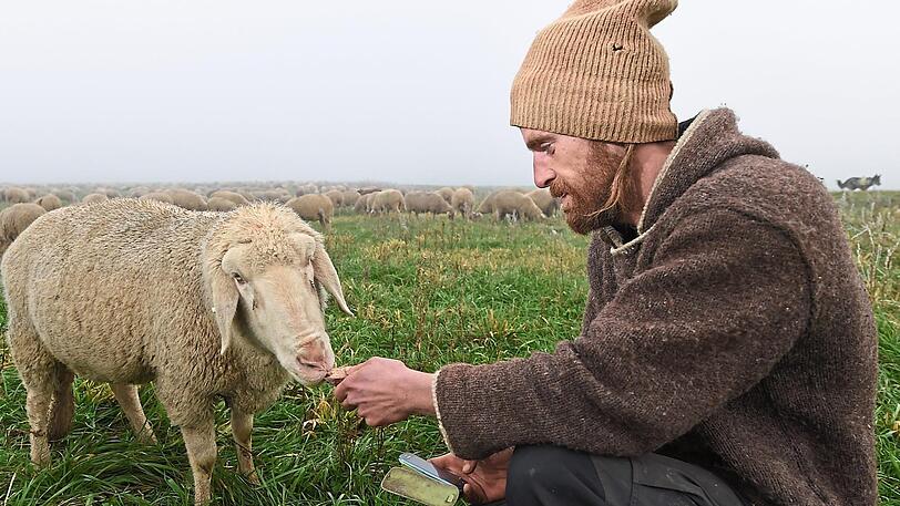 Der Wanderschäfer Sven de Vries mit einem seiner Schützlinge. Er kämpft mit einer digitalen Petition für seinen Beruf.