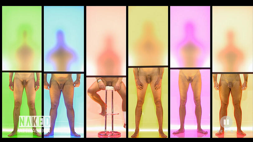 Cathy Lugner bei "Naked Attraction". Die Bilder.