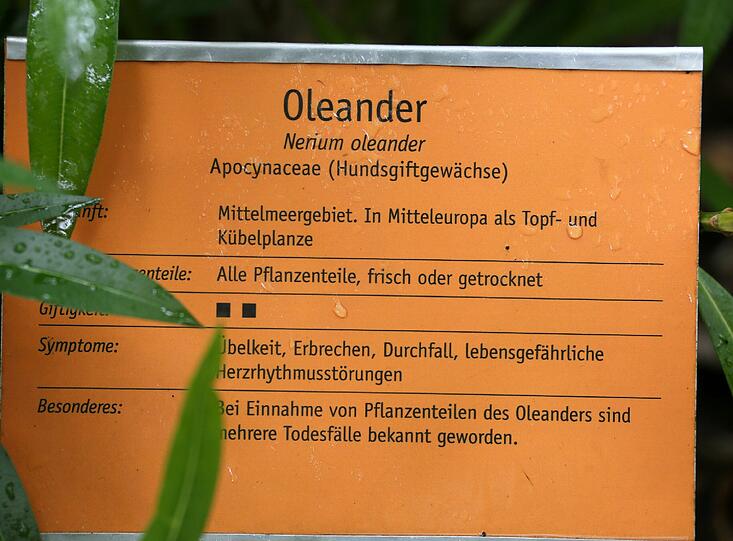 Auflösung siehe Tafel
