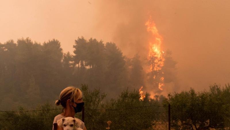 Ein Wald im Norden der Insel Euböa steht in Flammen.