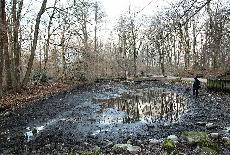 Jetzt ist der kleine Weiher fast leer, nur noch kleine Pfützen sind übrig geblieben. Die verbliebenen Fische werden wohl bald einfrieren.