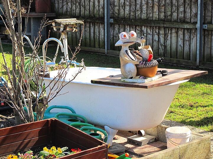AZ-Leser Djordje Matkovic hat in der Gartenlaube in Moosach die Frühlingsboten fotografiert. Die Bilder.