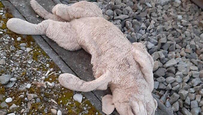 Der verlorene Plüschhund auf dem Bahngleis.
