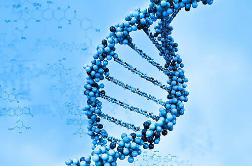 In der Weißen Biotechnologie wird Gentechnologie genutzt.