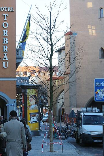 ... sollen das Tal säumen - vier davon in dem bislang baumlosen Abschnitt zwischen Hochbrückenstraße und Isartor.