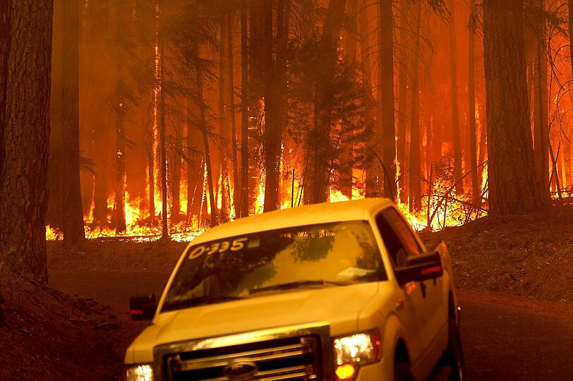 Die Waldbrände in der kalifornischen Sierra Nevada haben den Yosemite-Nationalpark erreicht. Die Bilder der Feuersbrunst!