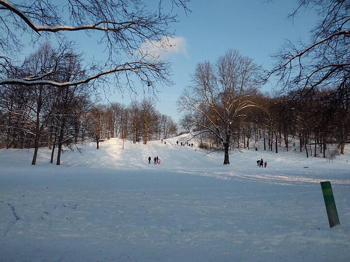 Impressionen aus dem Luitpoldpark.