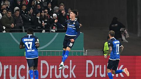 Darmstadts Mathias Honsak (M) bejubelt sein Tor zum 1:1.