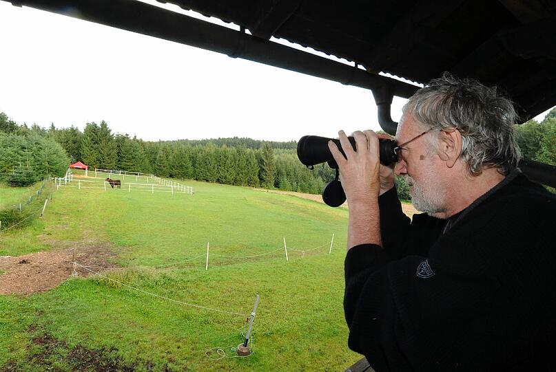 Und während immer neue Tierschützer und suchwillige Helfer auftauchen...