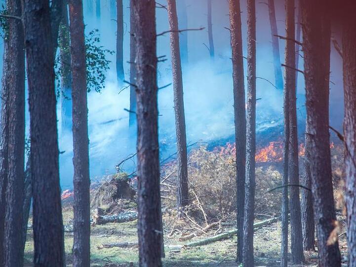 Dichter Rauch zieht durch den Wald in der Nähe der evakuierten Ortschaft Alt Jabel.