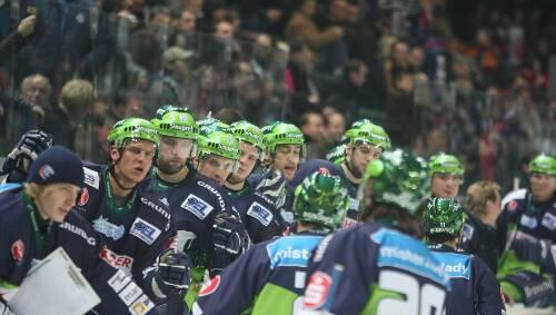 Die Tiger sind wieder los: Nach der Länderspiel-Pause müssen Shane Peacock (links) & Co. zunächst bei einer Auswärtstrilogie ihren Rhythmus wieder finden. Die Tiger sind wieder los: Nach der Länderspiel-Pause müssen Shane Peacock (links) & Co. zunächst bei einer Auswärtstrilogie ihren Rhythmus wieder finden.