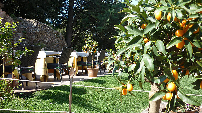 Lucca: Gastronomie auf der Stadtmauer.