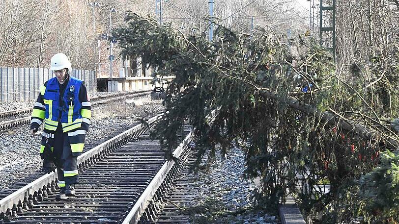 Weil der Baum auf den Gleisen landete, musste der Zugverkehr zwischen München und Holzkirchen eingestellt werden.