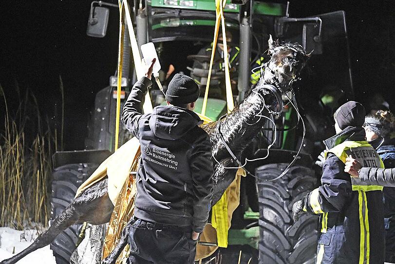 Eine Reiterin war am Montagnachmittag mit der Stute Shakira ausgeritten und dann nahe der Mündung in den Staudhamer See mit dem Tier in das Eis eines zufließenden Baches eingebrochen.
