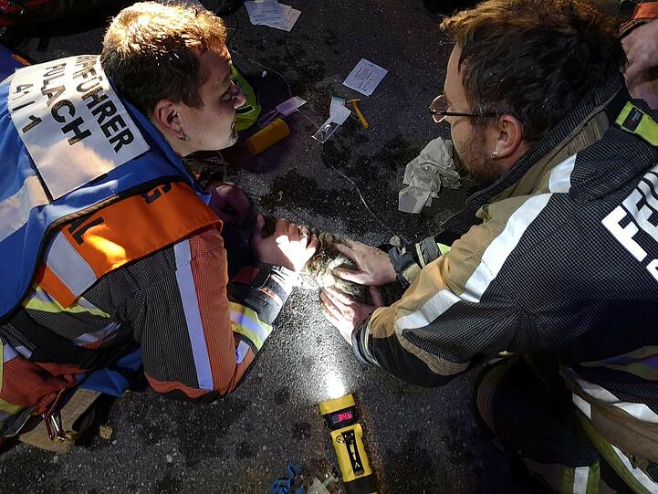 Bei einem Brand am Montagabend wurde eine Person verletzt. Die Freiwillige Feuerwehr Pullach rettete außerdem eine leblose Katze und half ihr ins Leben zurück.