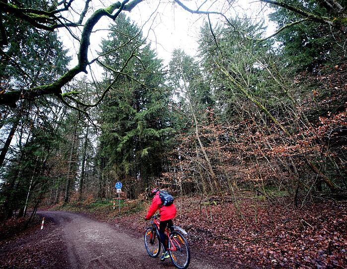 Der Wald ist ein beliebtes Ausflugsziel. Mit dem Rad...