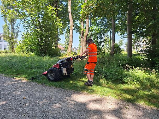Ein Balkenmäher in Aktion. Er schont die Fauna. Foto: man