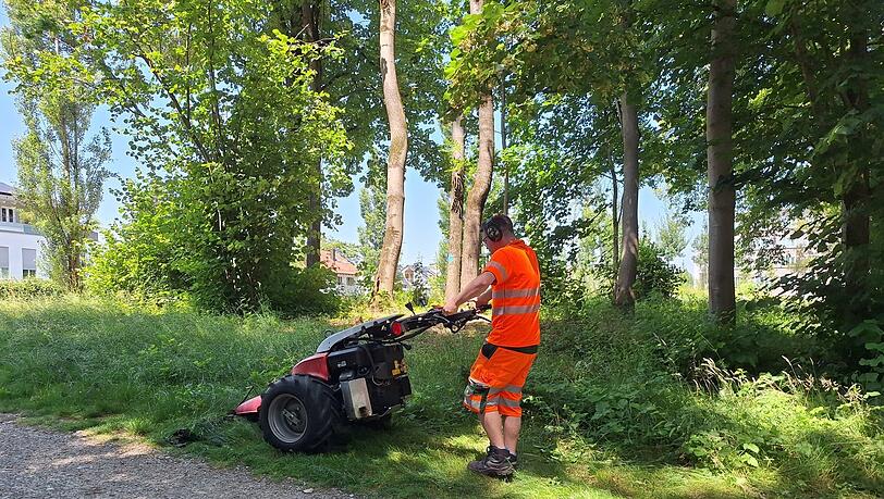 Ein Balkenmäher in Aktion. Er schont die Fauna. Foto: man